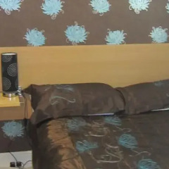 Отель Debden Guest House с домашними животными