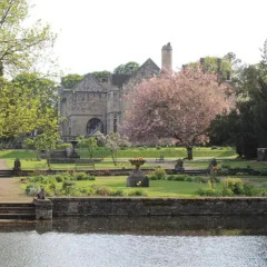 Monk Fryston Hall Hotel фото 10