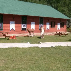 The Green Park Resort Kartepe Турция, Дербент - отзывы, цены и фото номеров - забронировать отель The Green Park Resort Kartepe онлайн фото 2