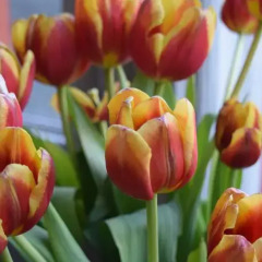 Charlies Hotel фото 3