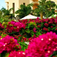 Vincci Selección La Plantación del Sur Hotel Адехе фото 4
