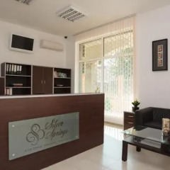 Апартаменты Silver Springs Apartments интерьер отеля