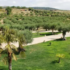 Отель Casal da Porta - Quinta da Porta фото 5