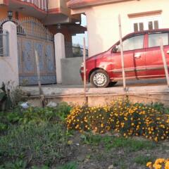 Отель Dil's Homestay Непал, Катманду - отзывы, цены и фото номеров - забронировать отель Dil's Homestay онлайн городской автобус