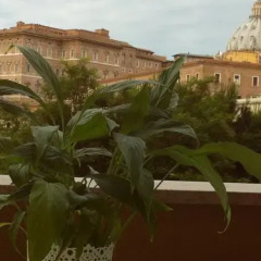 Отель Un Caffè Sul Balcone 1 фото 2
