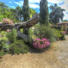 Отель Villaggio Paradiso casa vacanze Монтеварчи фото 6