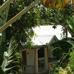 Отель Lapu Lapu Cottages and Restaurant Филиппины, Лапу-Лапу - отзывы, цены и фото номеров - забронировать отель Lapu Lapu Cottages and Restaurant онлайн фото 6