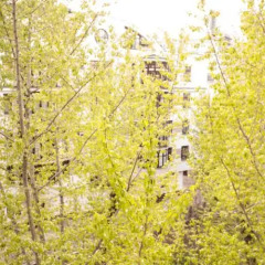My Hostel on Arbat