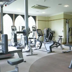 New Hall Hotel & Spa фитнесс-зал фото 3