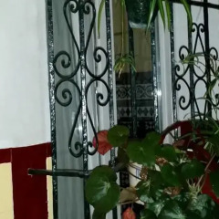 Отель Hostal Atenas фото 4