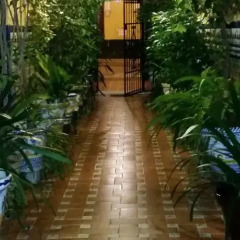 Отель Hostal Atenas фото 5