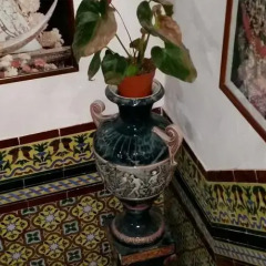 Отель Hostal Atenas фото 3
