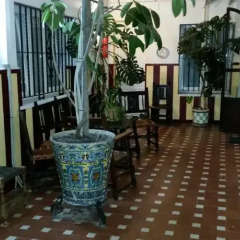 Отель Hostal Atenas питание