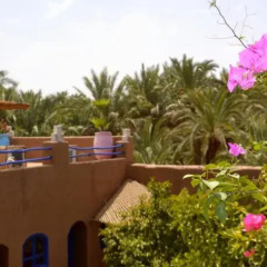 Отель La petite kasbah Марокко, Загора - отзывы, цены и фото номеров - забронировать отель La petite kasbah онлайн фото 11