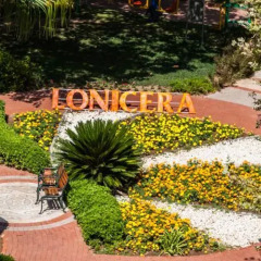Lonicera World Турция, Аланья - 11 отзывов об отеле, цены и фото номеров - забронировать отель Lonicera World онлайн фото 2