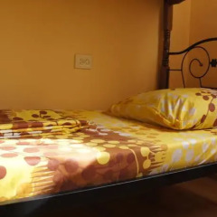 Kind Cat Hostel комната для гостей фото 3