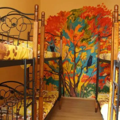 Kind Cat Hostel интерьер отеля фото 3