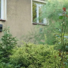 Отель Na Petřinách Чехия, Прага - отзывы, цены и фото номеров - забронировать отель Na Petřinách онлайн фото 2