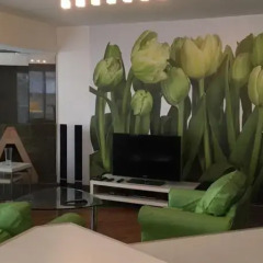 Апартаменты Yerevan Apartment on Pushkin Street 43 комната для гостей фото 3