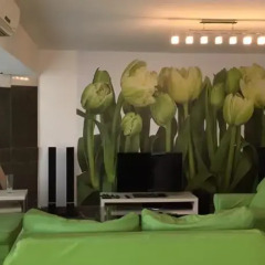 Апартаменты Yerevan Apartment on Pushkin Street 43 комната для гостей фото 2