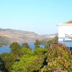 Отель Quinta Do Tedo Армамар фото 3