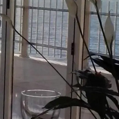 Hotel Bonita интерьер отеля