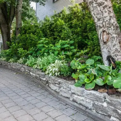 Отель Garden Camping Таллин фото 4