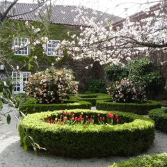 Отель Casa dos Barros Саброза фото 6
