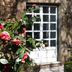Отель Casa dos Barros Саброза фото 8