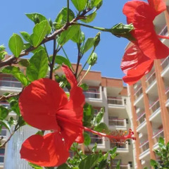 Отель Ohtels Belvedere фото 3
