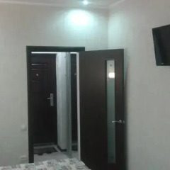 Гостиница Zheleznovodsk Apartment в Железноводске отзывы, цены и фото номеров - забронировать гостиницу Zheleznovodsk Apartment онлайн Железноводск интерьер отеля