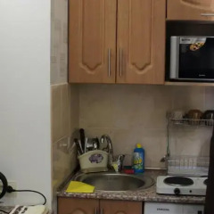 Гостиница Zheleznovodsk Apartment в Железноводске отзывы, цены и фото номеров - забронировать гостиницу Zheleznovodsk Apartment онлайн Железноводск в номере фото 2