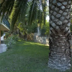 Отель Villa Yannis Греция, Корфу - отзывы, цены и фото номеров - забронировать отель Villa Yannis онлайн фото 9