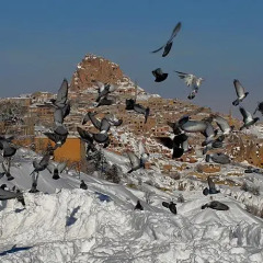Отель Cappadocia House фото 3