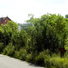 Отель EndHotel Bielany Wroclawskie Остров Тумский