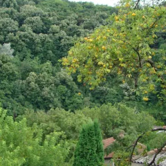 Отель Guest House Selin Велико Тырново фото 3