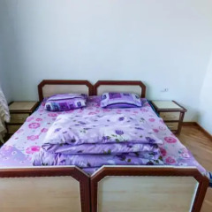 Апартаменты Downtown Yerevan Apartment комната для гостей фото 3