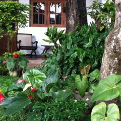 Отель Little Paradise Tourist Guest House and Holiday Home фото 2