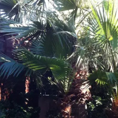 Отель Villa Rosa Порт-Эмпедокле фото 5