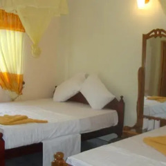 Апартаменты Montana Rest Apartments комната для гостей фото 4