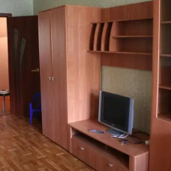 Гостиница Grigorovo Apartment в Великом Новгороде отзывы, цены и фото номеров - забронировать гостиницу Grigorovo Apartment онлайн Великий Новгород удобства в номере фото 2
