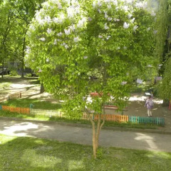 Апартаменты Apartment Lila On Dovatora