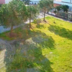 Отель Appartamento Gabbiano Скалея