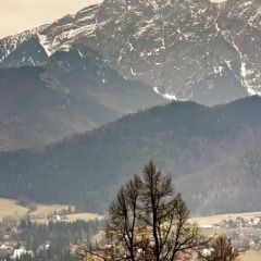 Отель Widokowy i Wyjątkowy Косцелиско