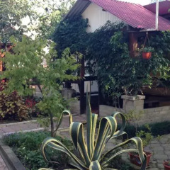 Гостиница U Iriny Guest House Гостиница U Iriny Guest House в Сочи