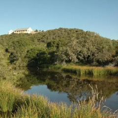 Отель Kududu Guest House Южная Африка, Аддо - отзывы, цены и фото номеров - забронировать отель Kududu Guest House онлайн приотельная территория фото 2