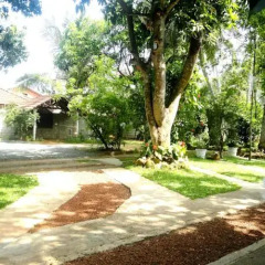 Отель Star Holiday Resort Шри-Ланка, Хиккадува - 2 отзыва об отеле, цены и фото номеров - забронировать отель Star Holiday Resort онлайн фото 6