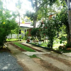 Отель Star Holiday Resort Шри-Ланка, Хиккадува - 2 отзыва об отеле, цены и фото номеров - забронировать отель Star Holiday Resort онлайн фото 11