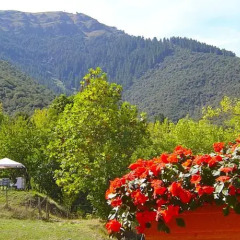 Отель Posada El Bosque Камалено фото 3