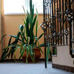 Hotel D'Angelo балкон
